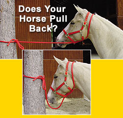 Does Your Horse Pull Back